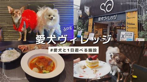 愛犬ヴィレッジ 閉店|愛犬ヴィレッジ カフェ 東新宿店 （【旧店名】ビスト。